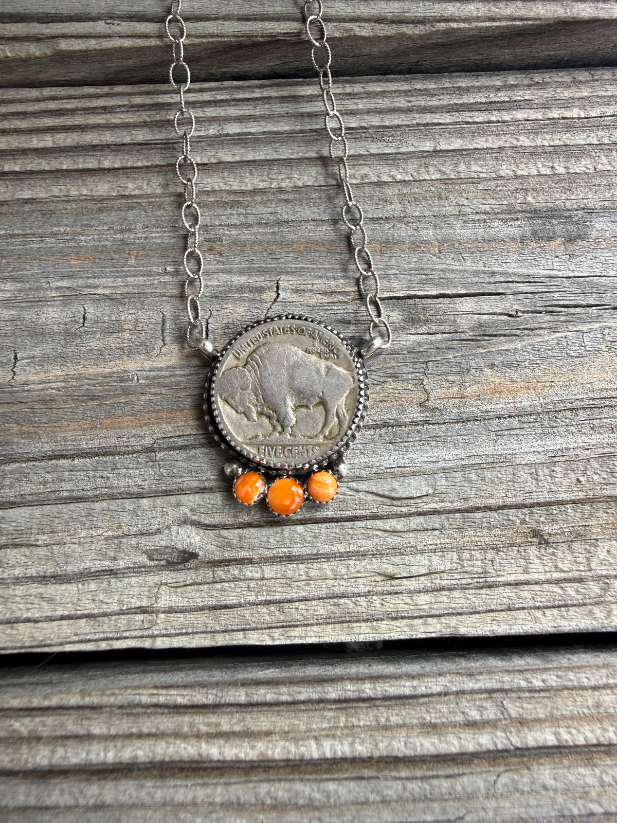 Buffalo Nickel and Orange Spiny