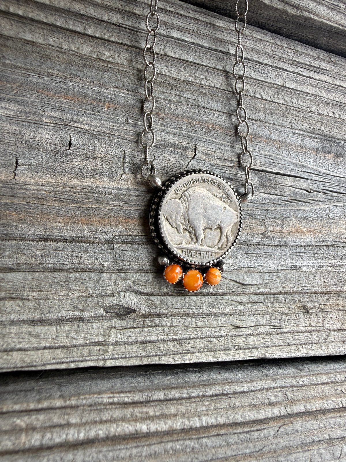 Buffalo Nickel and Orange Spiny