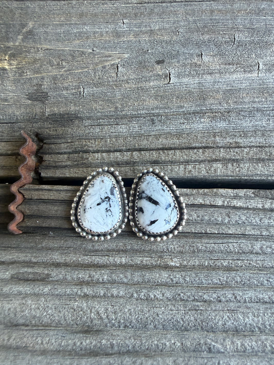 White Buffalo Studs
