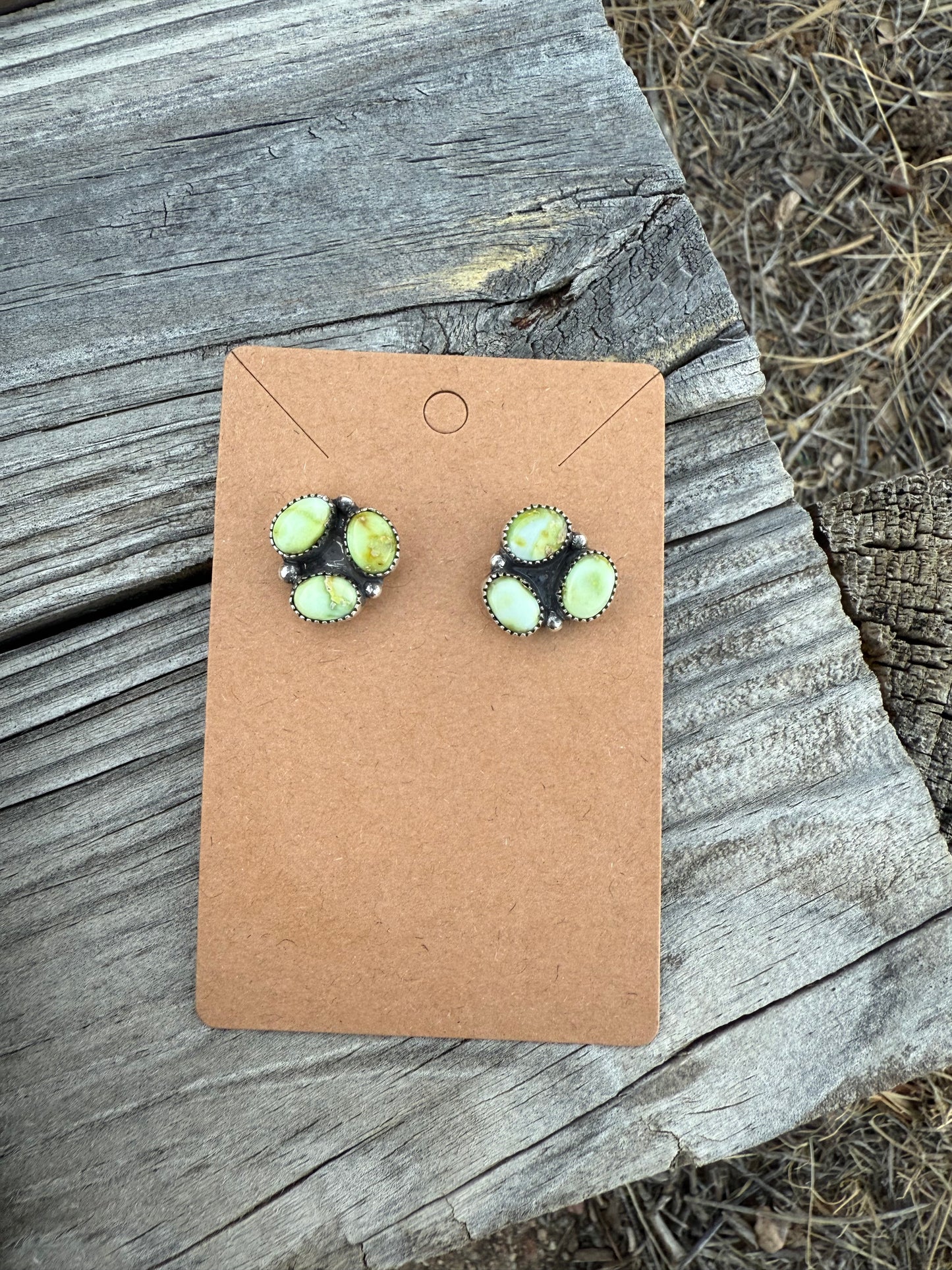 Palomino Cluster Studs